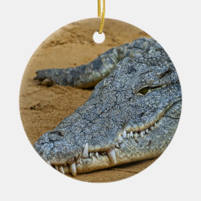 Crocodile Ceramic Ornament (Front)