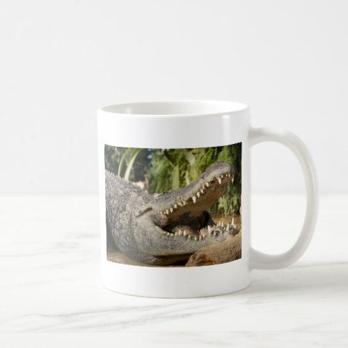 crocodile coffee mug