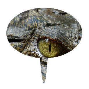 crocodile eye face animal custom personalize diy cake topper