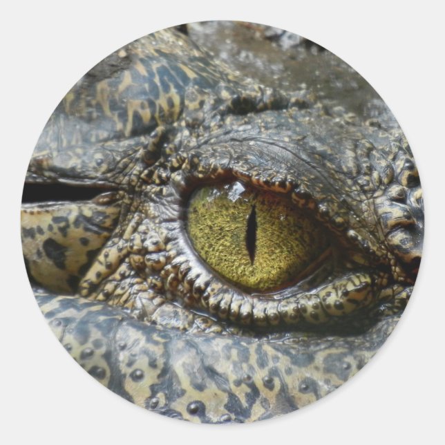 crocodile eye face animal custom personalize diy classic round sticker (Front)