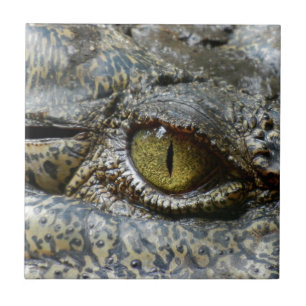crocodile eye face animal custom personalize diy tile