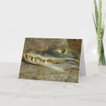 Crocodile Head Close-up Wildlife Photo Card