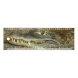 Crocodile Head Close-up Wildlife Photo Ruler