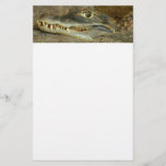 Crocodile Head Close-up Wildlife Photo Stationery