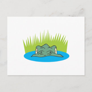 crocodile head in the water postcard