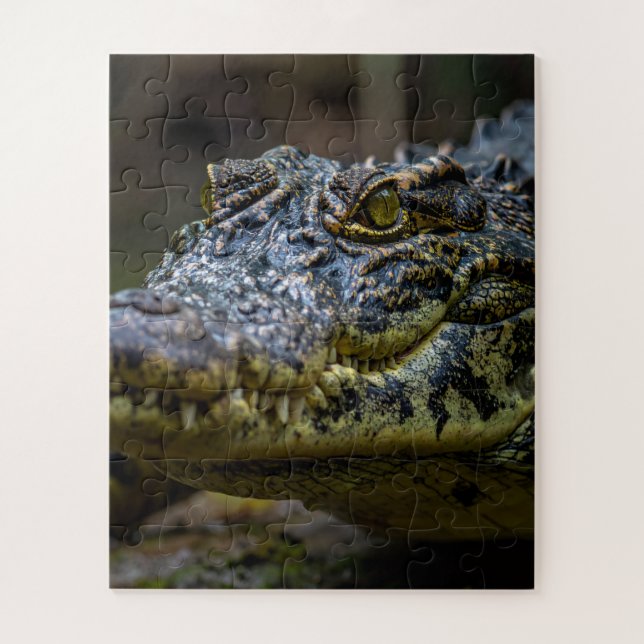 crocodile jigsaw puzzle (Vertical)