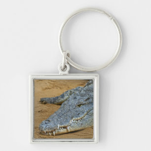 Crocodile Keychain