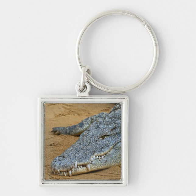 Crocodile Keychain (Front)