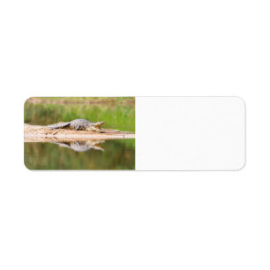 Crocodile Label