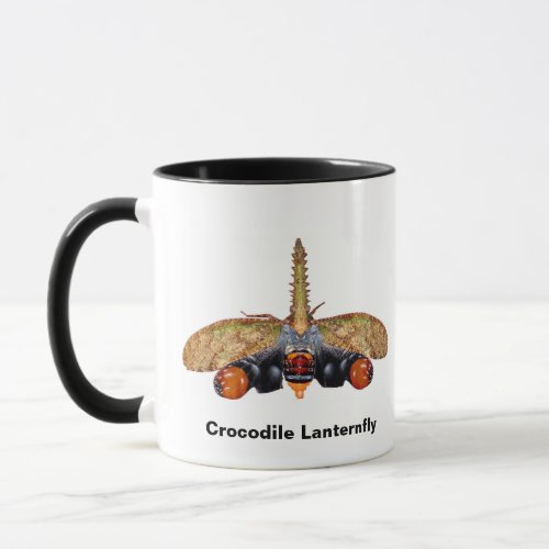Crocodile Lantern fly Cathedra serrata Mug