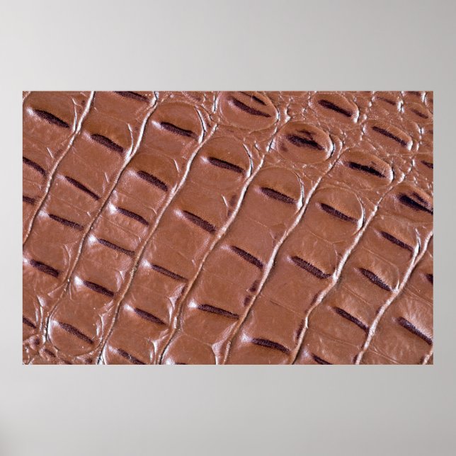 Crocodile leather textured backgroundabstract, ani poster (Front)