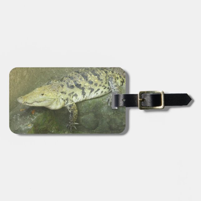 Crocodile Luggage Tag (Front Horizontal)