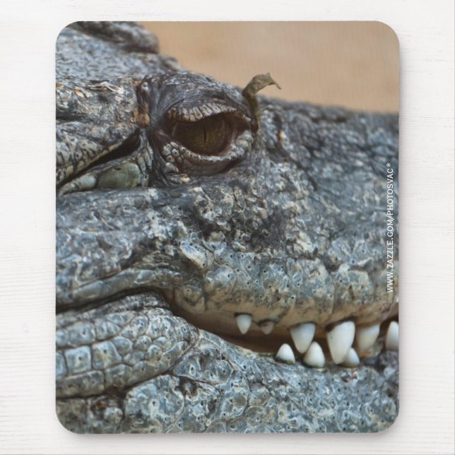 Crocodile Mouse Pad (Front)