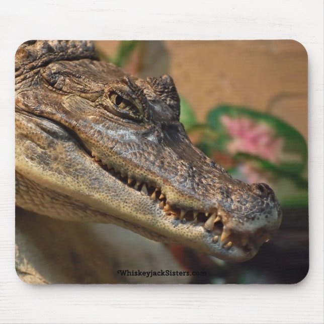 Crocodile Mouse Pad (Front)