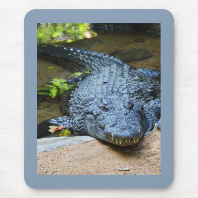 Crocodile Mouse Pad (Front)