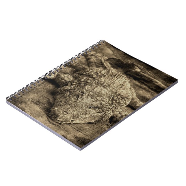 Crocodile Notebook (Left Side)