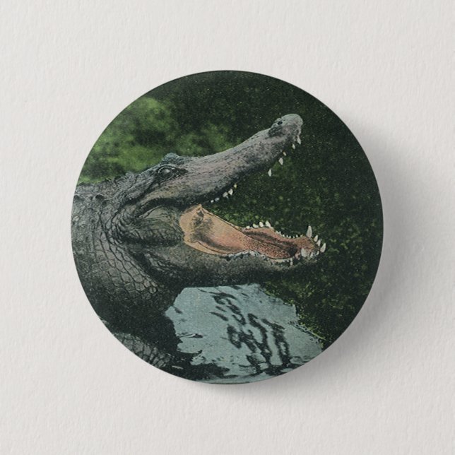 Crocodile Reptiles, Vintage Marine Animal Life Button (Front)