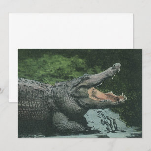Crocodile Reptiles, Vintage Marine Animal Life Invitation