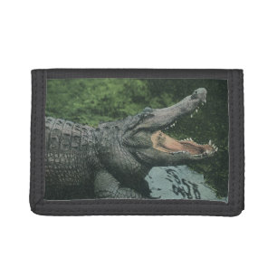 Crocodile Reptiles, Vintage Marine Animal Life Trifold Wallet