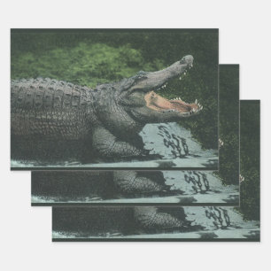 Crocodile Reptiles, Vintage Marine Animal Life Wrapping Paper Sheets