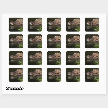Crocodile Square Sticker by MarblesPictures at Zazzle