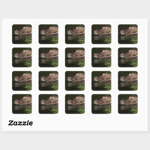Crocodile Square Sticker