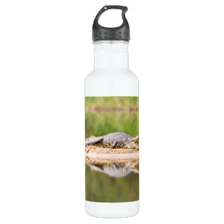 Crocodile Stainless Steel Water Bottle