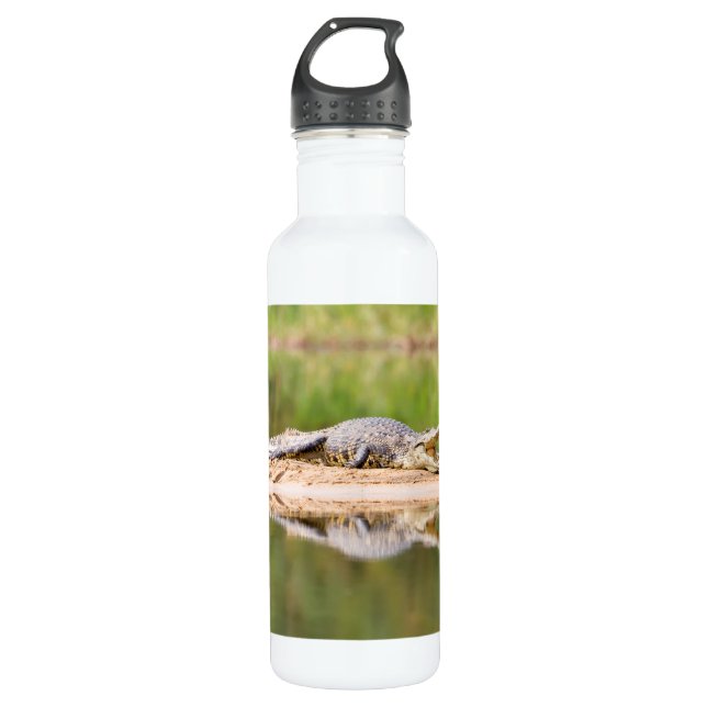 Crocodile Stainless Steel Water Bottle (Front)