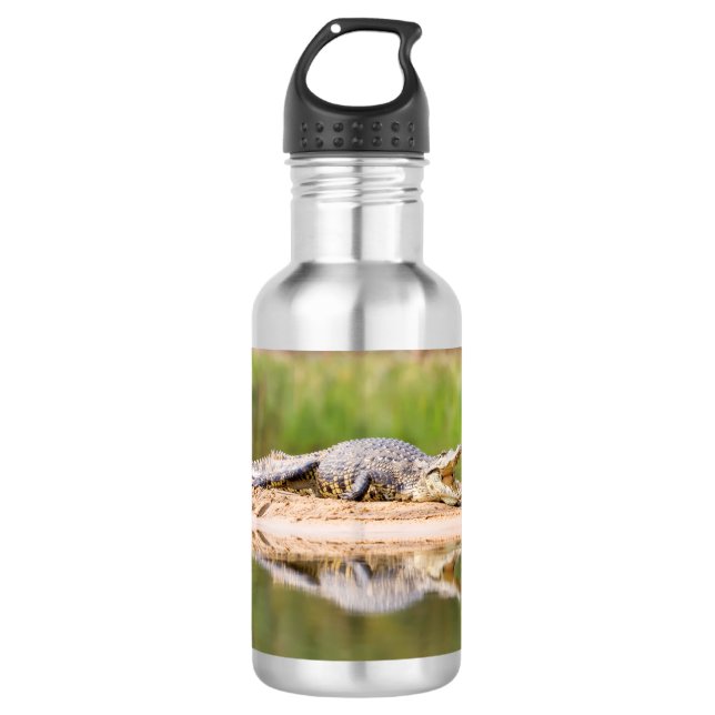 Crocodile Stainless Steel Water Bottle (Front)