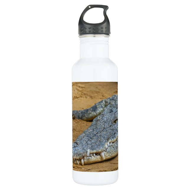 Crocodile Water Bottle (Front)
