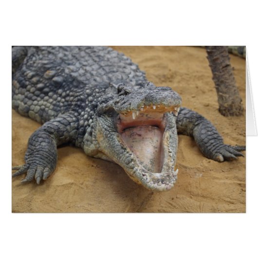 Crocodile with Jaws Wide Open Close-up Cards (Front Horizontal)