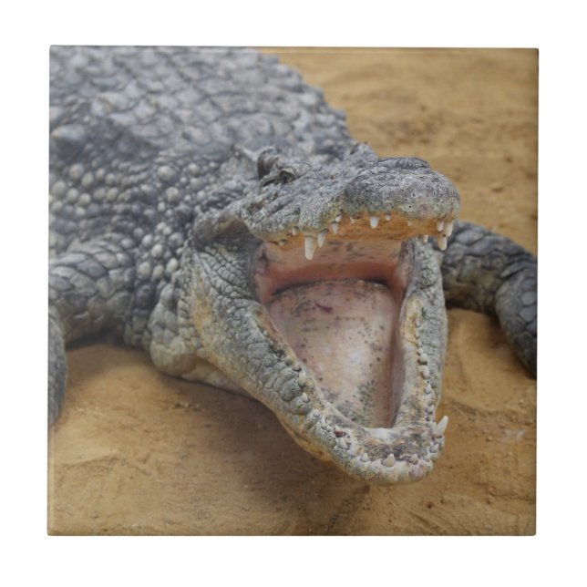 Crocodile with Jaws Wide Open Close-up Ceramic Tile (Front)