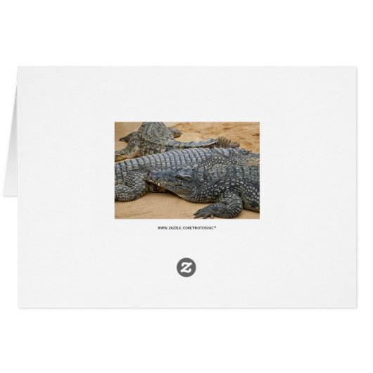 Crocodiles (Back Horizontal)