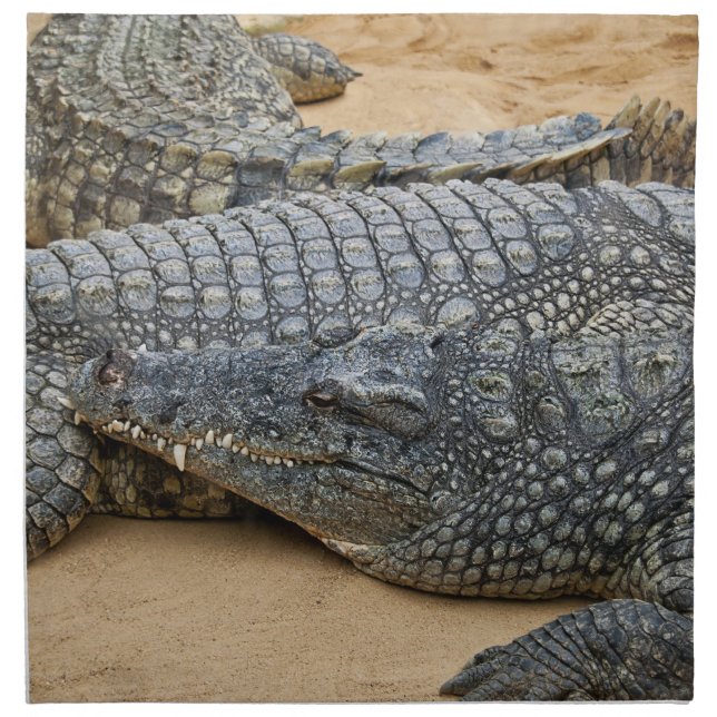 Crocodiles Cloth Napkin (Front)