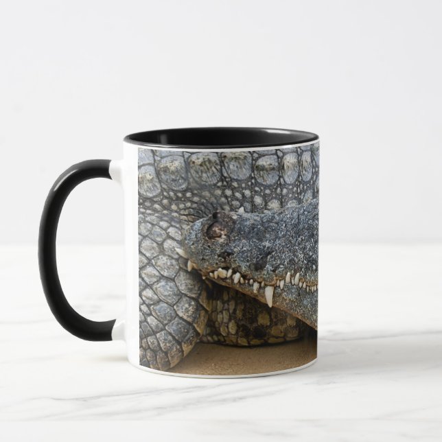 Crocodiles Mug (Left)