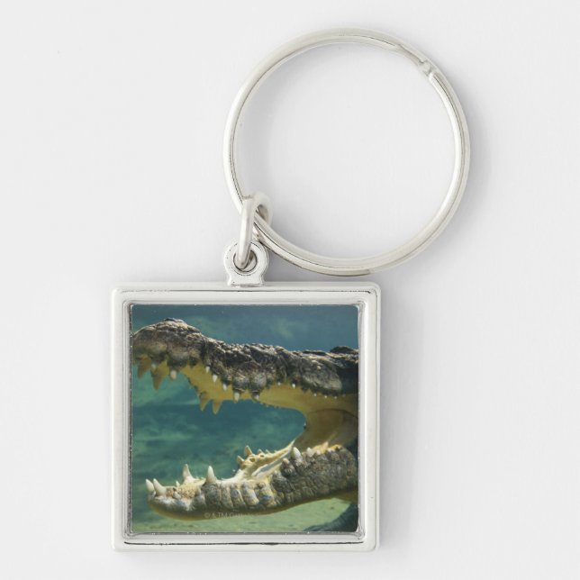 Crocodiles open mouth keychain (Front)