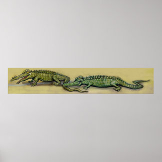 Crocodiles Poster