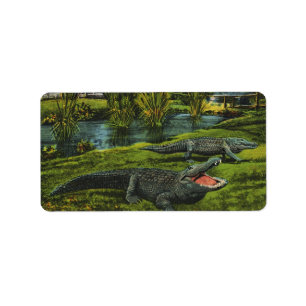 Crocodiles, Vintage Marine Life Reptiles Animals Label