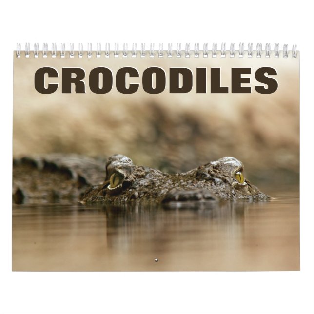 Crocodiles Wall Calendar (Cover)