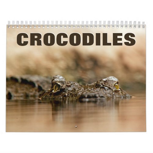 Crocodiles Wall Calendar