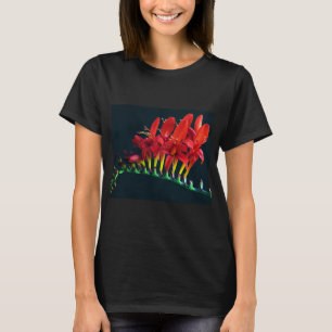 Crocosomia Lucifer Montbretia Floral T-Shirt