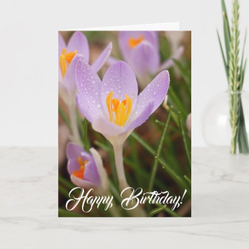 Crocus Birthday Blessings Card