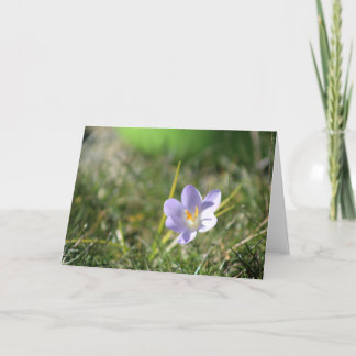 Crocus Blank Letterpress Thank You Card