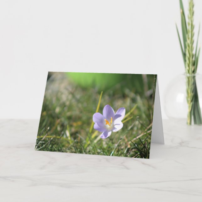 Crocus Blank Letterpress Thank You Card (Front)
