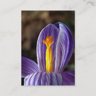 Crocus Blossom - Business Card