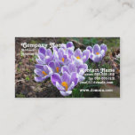 Crocus Business Card