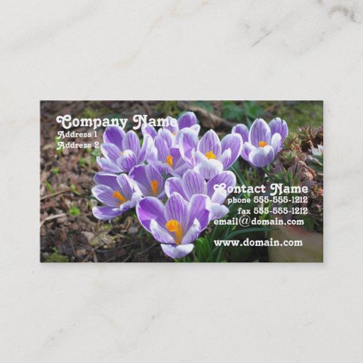 Customizable Crocus Business Card