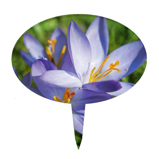 Crocus Cake Topper (Front)
