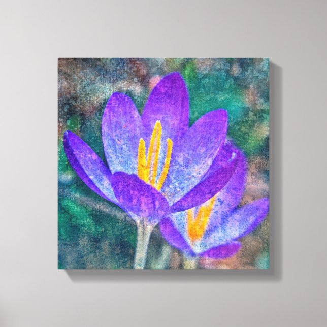 Crocus Canvas Print (Front)