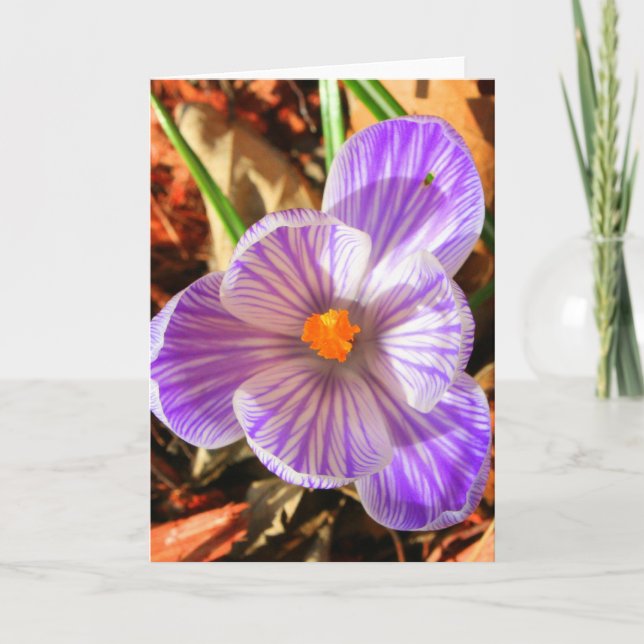 Crocus Card (Front)